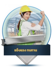 5ข้อด้านล่าง 02 - Thai Euro PEB